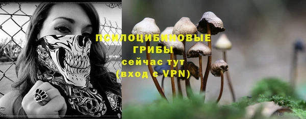 mix Магас