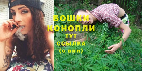 сатива Липки